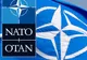 NATO, prima reacţie în cazul atacului cibernetic de la MAE. Ce avertisment transmite 