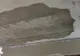 Tânără rănită, după ce i-a căzut tencuiala în cap într-un pasaj pietonal