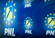 Cine sunt candidaţii PNL pentru funcţiile de vicepreşedinte de partid. Nume surpriză