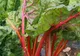 Această plantă verde te poate otrăvi, deşi multă lume o consumă. Mare atenţie cum o prepari