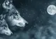 Zodiacul totemic îți dezvăluie personalitatea