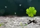 Cele mai norocoase 5 zodii în luna MAI. Singurele care vor întoarce BANII cu lopata!