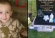 La mormântul fiului ei i-a spus în gând: "Dă-i lui mami un semn". Ce a urmat este copleșitor
