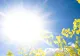 Vremea luni, marți și miercuri. Unde vor fi temperaturi de 30 de grade