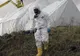 Alertă de ANTRAX la Botoşani - un bărbat, primul caz confirmat. Fiica sa, internată şi ea