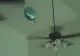Cum a reușit un tătic trăsnit să dea jos balonul cu heliu din tavan. Clipul a devenit viral