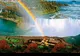 Au SECAT Cascada Niagara pentru teste şi curăţenie. Dar ce au găsit sub apă e îngrozitor