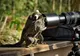 Top 10 fotografii cu animale care îți vor face ziua mai bună! Râzi cu lacrimi