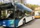 Craiovenii vor circula gratuit, timp de o săptămână, cu un autobuz electric
