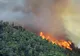  Patrimoniu UNESCO în pericol. Mii de oameni evacuați dintr-un parc național cuprins de incendii