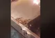 Surpriză în aeroport. Toată lumea a filmat. Ce au găsit pasagerii pe banda cu bagaje