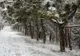 Vremea o ia razna! Meteorologii nu mai înţeleg nimic. NINSORI la început de vară