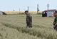 Prima ipoteza privind CAUZA prăbușirii MIG-ului 21 Lancer: un stol de păsări
