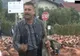 Protest cu 3.000 de oi la primărie. Care sunt nemulţumirile ciobanilor