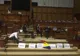 Deputaţii, alţi bani, altă distracţie. Pentru ce vor cheltui 700 000 RON