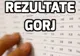 Rezultate Evaluare Nationala 2017 Gorj – Cat de bine s-au descurcat elevii liceelor importante