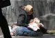 Primăria Alexandria pregătește containere pentru…romi, lângă cimitir