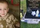 La mormântul fiului ei i-a spus în gând: "Dă-i lui mami un semn". Ce a urmat este copleșitor
