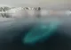 Ce au găsit exploratorii sub apa îngheţată din Antarctica e HORROR! Era acolo de zeci de ani