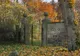 Dacă poţi găsi femeia din această poză, atunci ai un IQ peste medie. Îţi dai seama unde e?