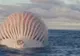 A văzut un balon uriaş în mijlocul mării. A ajuns la el și a încremenit! Ce era de fapt 