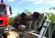Camionul militar răsturnat. Anunţ de ultima oră despre starea celor 6 militari internaţi în Capitală