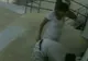 Poliția le caută neîncetat! Iată ce au reușit să fure aceste două femei