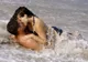 Ce se întâmplă cu cei care fac sex în concediu? Răspunsul fabulos al unui sexolog