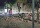 CUTREMUR de 6,7 lângă Bodrum. Staţiuni din Grecia şi Turcia, lovite de TSUNAMI: 2 morţi, 200 răniţi