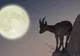 Luna Plină în Capricorn și mesajul transmis pentru fiecare zodie 