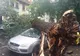 Furtuna a făcut prăpăd în București! Mai multe mașini au fost distruse