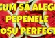 Cum să alegi pepenele roşu perfect! Caută semnele "pânză de păianjen" şi nu vei da greş!