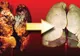 Opt alimente care curăţă plămânii. Iată cum poţi scăpa de toxine