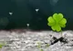 Horoscop IULIE. Cele mai norocoase zodii: se îmbogăţesc peste noapte