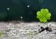 Horoscop - Zile norocoase în vara 2017: zodia care se îmbogăţeşte peste noapte. A ta, oare?
