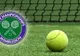 Dezamăgire la Wimbledon. Jucătoarea noastră a fost eliminată în turul 2 