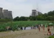 Când i-au spus "Hai la scăldat" nu aștepta asta. Imagini de pe cea mai stranie plajă din lume