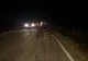 Accident ciudat pe o șosea din România. 33 de porci mistreți au murit 