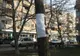 Afișele care au pus pe jar un oraș întreg. Poliția avertizează: e o metodă de înșelăciune