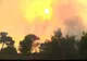 ALERTĂ! Arde o insulă grecească frecventată de foarte mulți români!