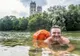 Un bărbat din Germania înoată în fiecare zi până la locul de muncă! Povestea inedită