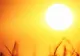 Mare surpriză de la METEO. Zile de VARĂ indiană în România  