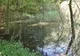 A dispărut acum 40 de ani din România, dar a reapărut acum. Animalul care a pus pe jar autorităţile