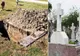 Un bărbat din Prahova s-a sinucis la mormântul soacrei sale