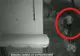 Furt din pasiune, la Târgovişte. Femeie surprinsă de camere când smulge o FLOARE din pământ