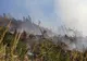 Incendiu puternic în Bistrița-Năsăud. Au ars opt hectare de pădure