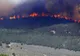 Un hectar de pădure tânără, cuprinsă de flăcări în Harghita