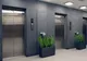 S-a blocat în lift și a rămas acolo timp de o lună. Cum l-au găsit vecinii