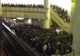 Prime de neperformanţă la Metrorex. Premiază incompetenţa angajaţilor