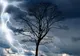 Vreme extremă în România. Nouă avertizare meteo: vijelii puternice și caniculă în următoarele zile